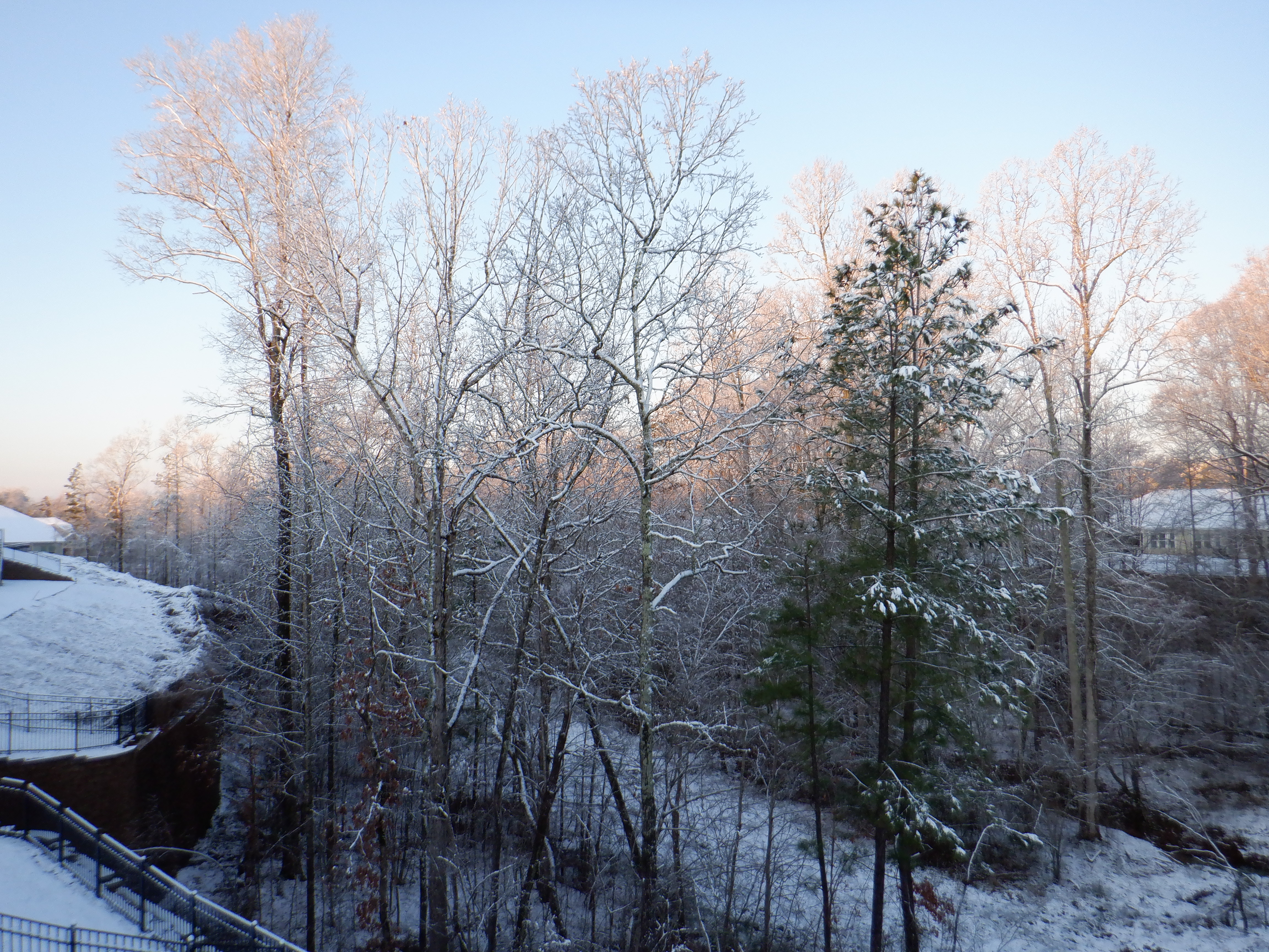 ./2020/02 - Snow/DSCF0853.JPG